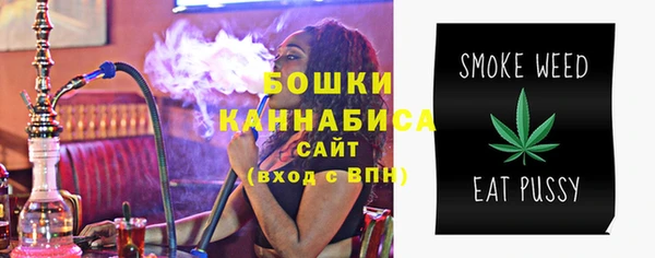 индика Каменногорск