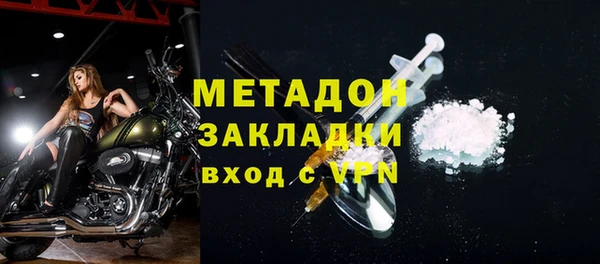 индика Каменногорск