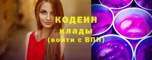 индика Каменногорск