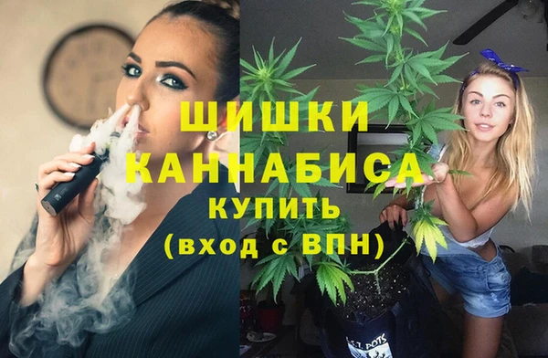 индика Каменногорск