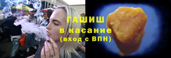 индика Каменногорск