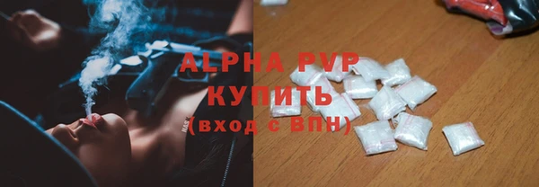 индика Каменногорск