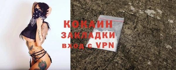индика Каменногорск