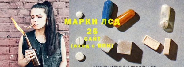 индика Каменногорск