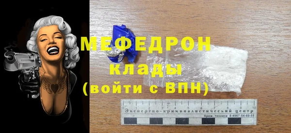 индика Каменногорск