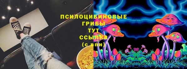 индика Каменногорск