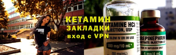 индика Каменногорск
