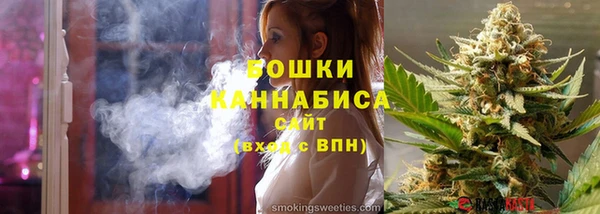 индика Каменногорск