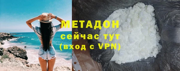 индика Каменногорск