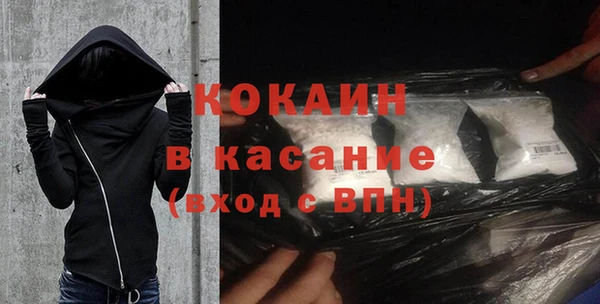 индика Каменногорск
