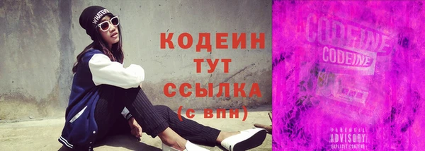 индика Каменногорск