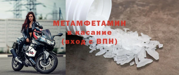 индика Каменногорск