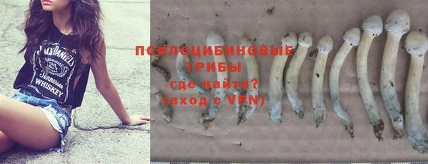 прущая мука Каменка