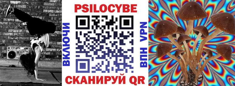 Купить Подпорожье Псилоцибиновые грибы прущие грибы
